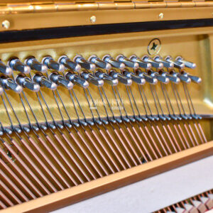 Chốt Pin Yamaha UX100