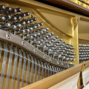 Đàn Piano Upright Yamaha U30Wn tại Piano Đức Trí