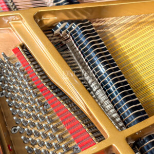 Grand Piano Wm Knabe & Co Cao Cấp tại Đức Trí Music