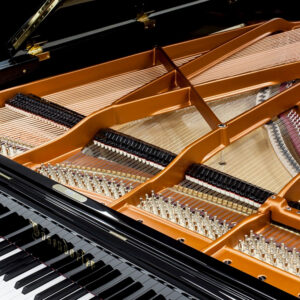 Đàn-Piano-Bösendorfer-200