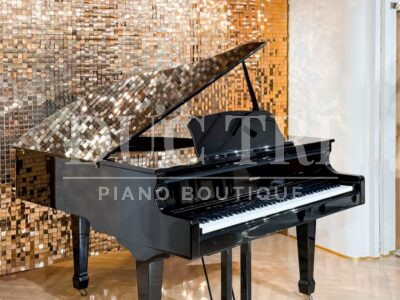 Đàn piano Roland GP609