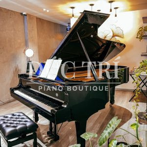 Đàn piano grand Yamaha CSII