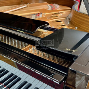 Đàn yamaha c5la artistic edition