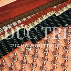 Dây đàn Schimmel K230 Tradition