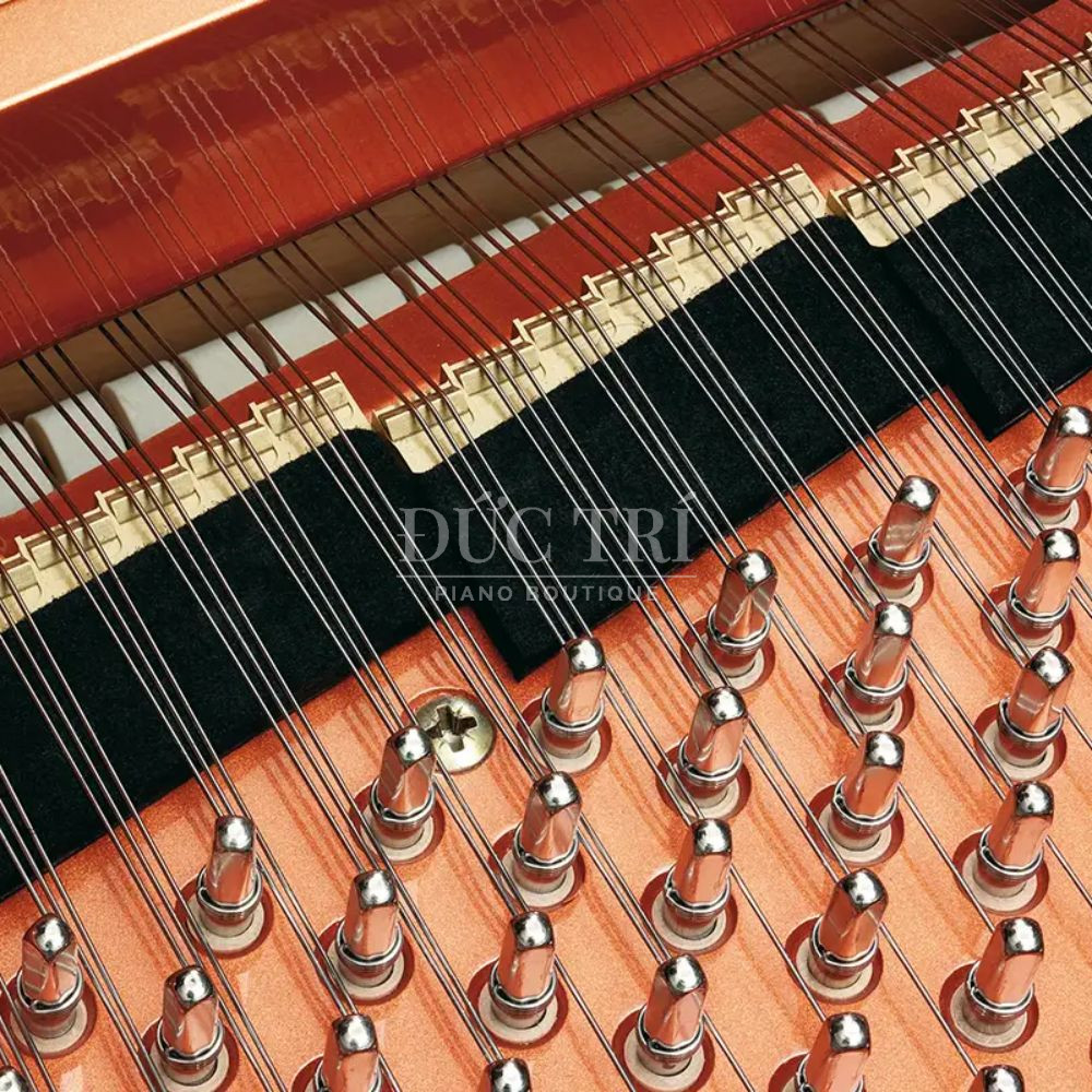 Day dan Schimmel K230 Tradition Schimmel K230 Tradition Dây đàn Schimmel K230 Tradition