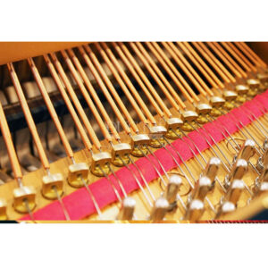 Dây đàn Yamaha A1R