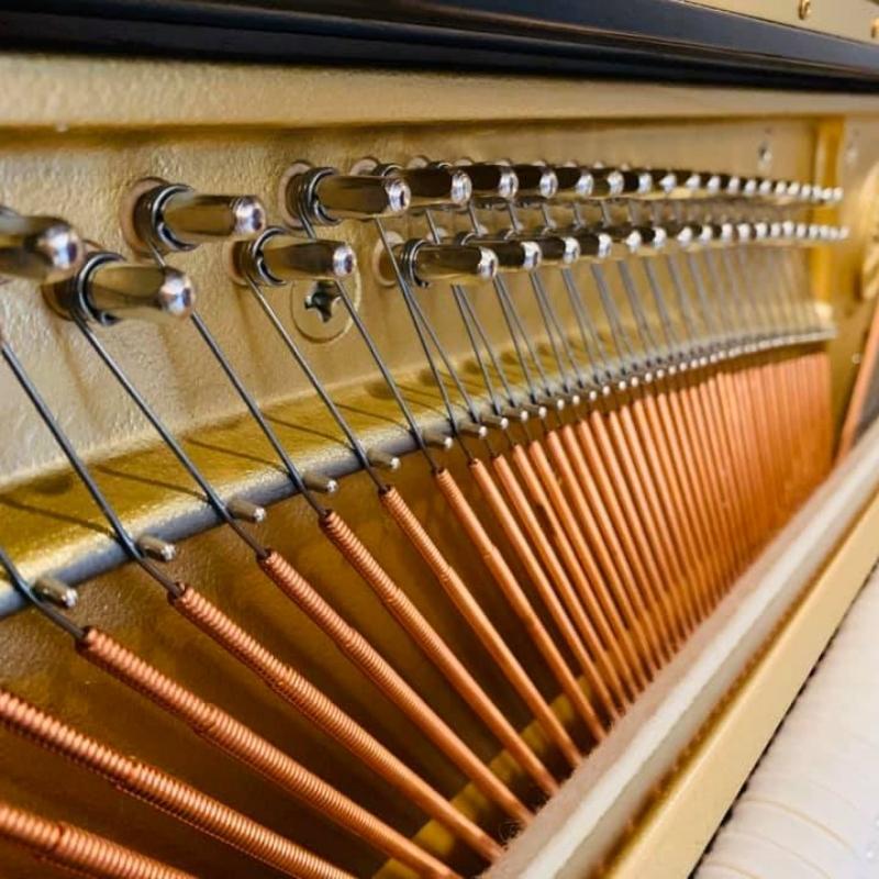 Dây đàn Yamaha U2F