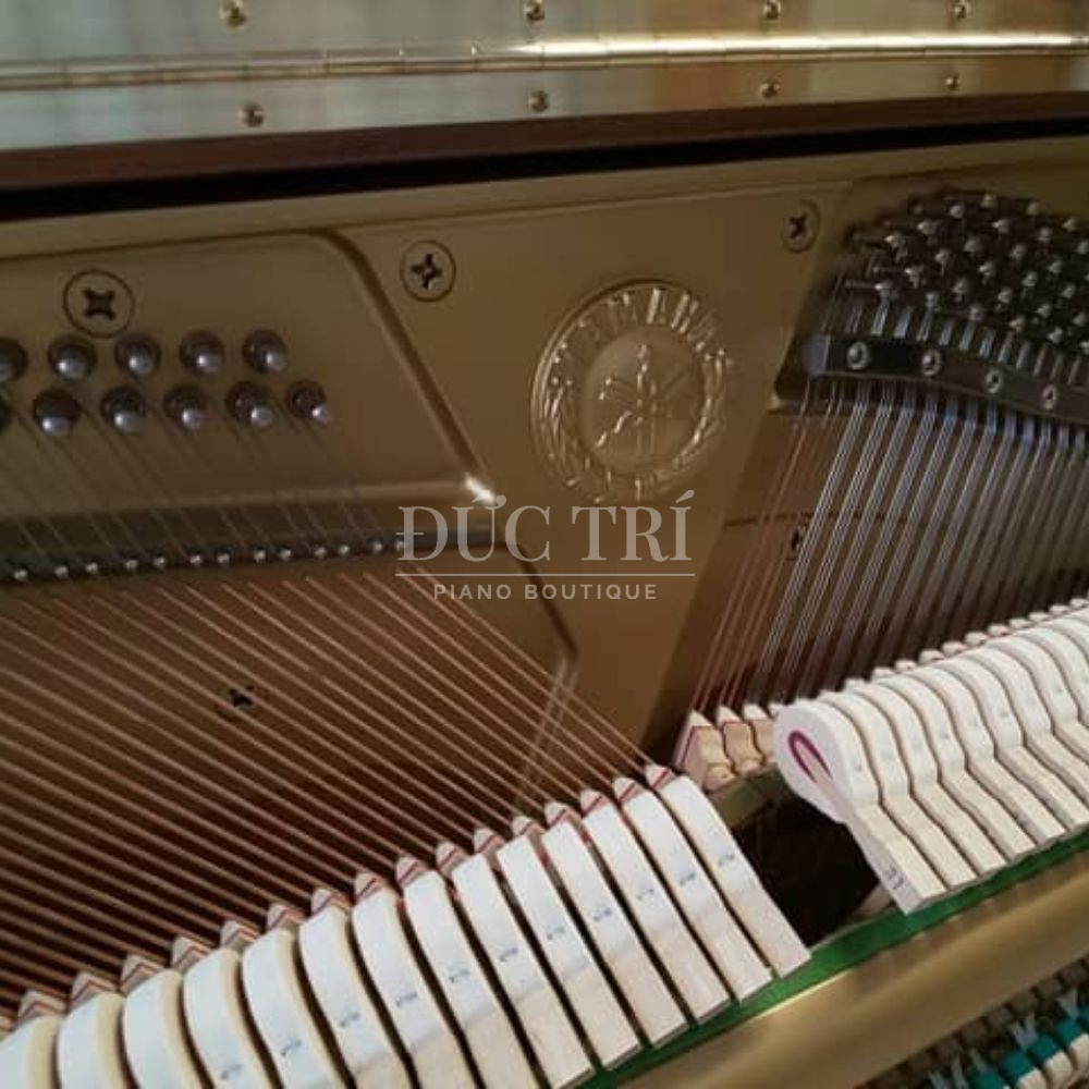 Day dan Yamaha UX10WN Yamaha UX10WN Dây đàn Yamaha UX10WN