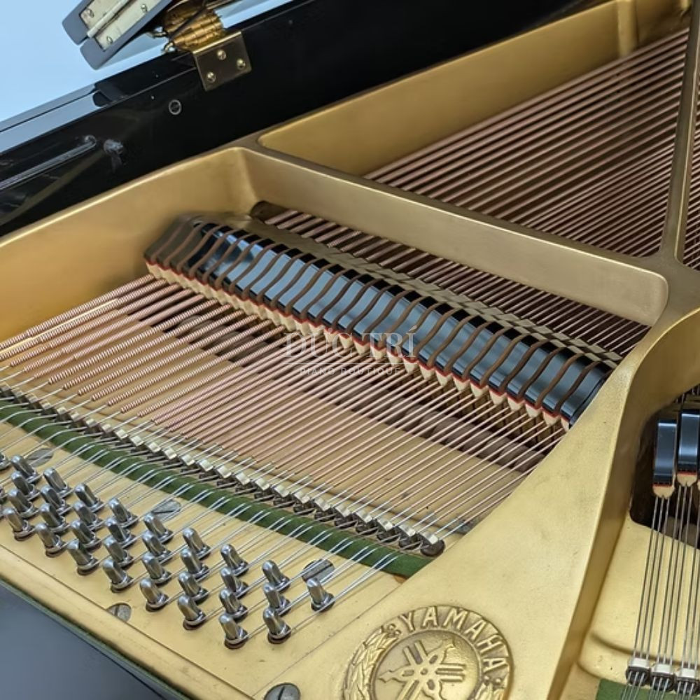 Day dan tren dan Yamaha G2D Yamaha G2D Dây đàn trên đàn Yamaha G2D