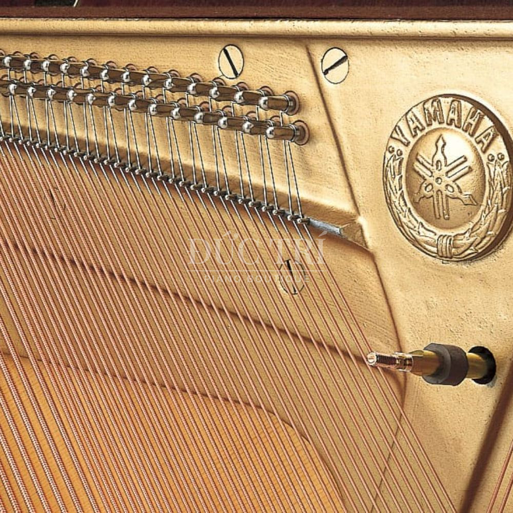 Day dan tren dan Yamaha SU118 Yamaha SU118 Dây đàn trên đàn Yamaha SU118