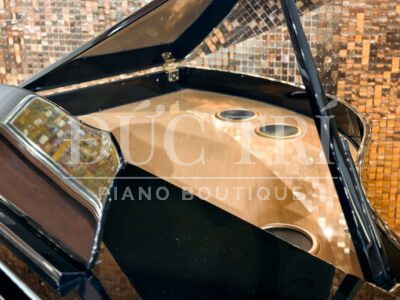 Gậy chống nắp đàn piano Roland GP609