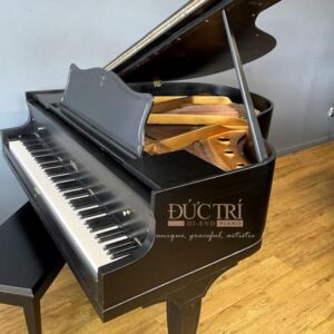 Góc nghiêng Piano Roland GP9