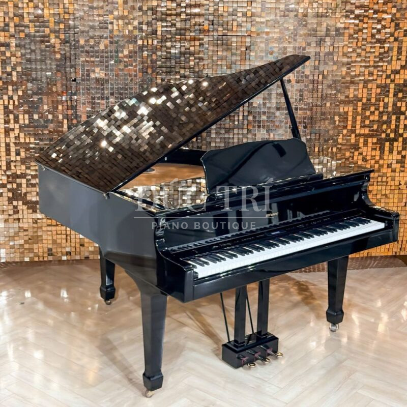 Góc trên nhìn xuống đàn piano Roland GP609