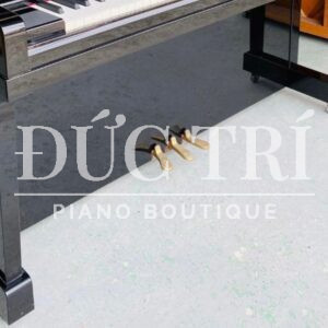 Hệ thống 3 pedal chuyên nghiệp