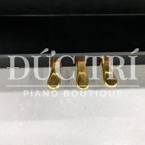 Hệ thống Pedal Kawai CS3