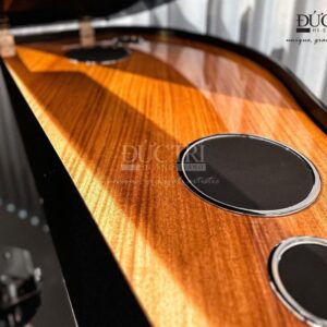 Hệ thống loa đàn Yamaha AvantGrand N1