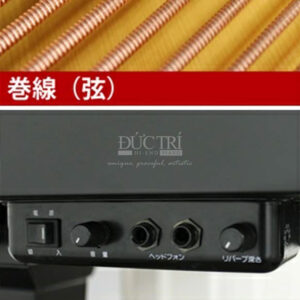 Hệ thống silent Yamaha C7SN