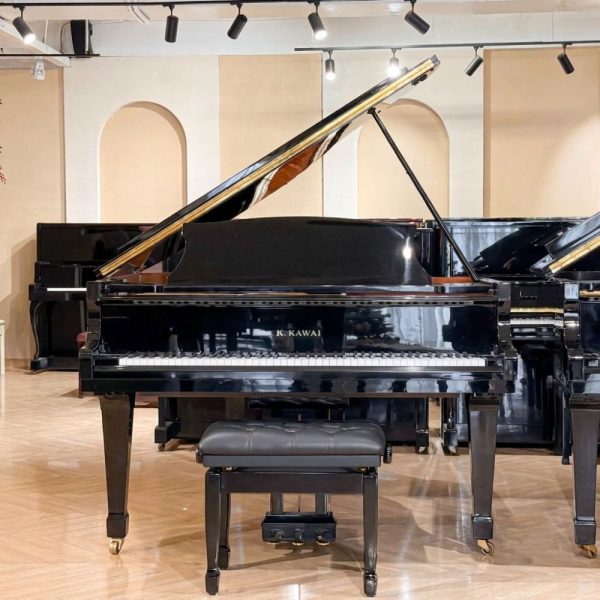 Kawai KG2E