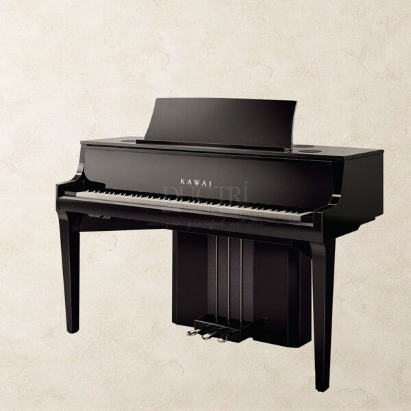 Kawai-NV10