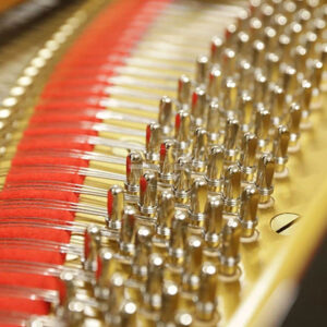 Khối pinblock Yamaha CSII