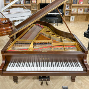 Đàn Grand Piano Yamaha C3B Walnut Cao Cấp Tại Đức Trí Music