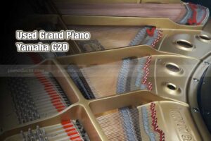 Khung kim loại Yamaha G2D