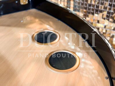 Loa đàn Roland GP609