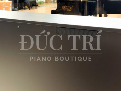 Loa đàn Yamaha CSP 295