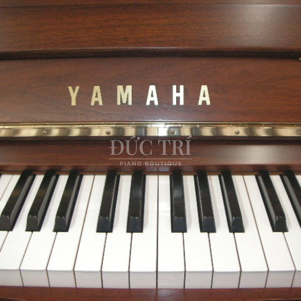 Logo Yamaha tren dan Phim dan tren dan Yamaha W1AWn Yamaha W1AWn Logo Yamaha trên đàn Phím đàn trên đàn Yamaha W1AWn