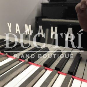 Logo đàn piano Yamaha AvantGrand N2