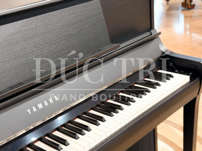 Logo và bàn phím đàn Yamaha CSP 295