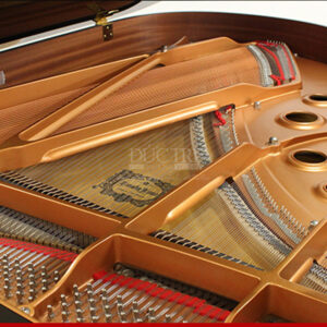 Lồng đàn Yamaha C3XA