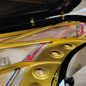 Lồng đàn Yamaha CSII