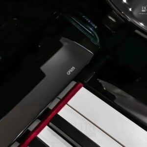 Mã đàn Roland GP609