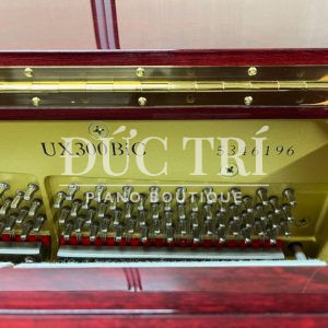 Mã đàng UX300BIC trên đàn