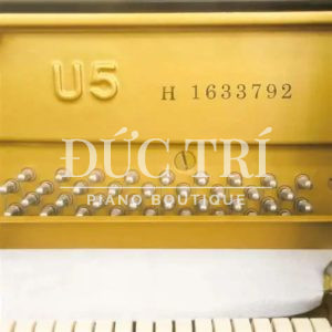 Mẫ sản phẩm trên đàn YAMAHA U5H