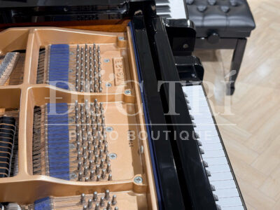 Mã seri đàn piano Kawai KG2E