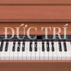 Màng hình đàn Roland DP-990