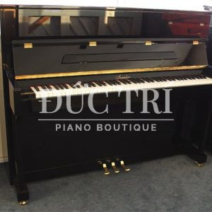 Mặt trước đàn Irmler P118 Studio