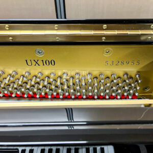 Seri Model Yamaha UX100