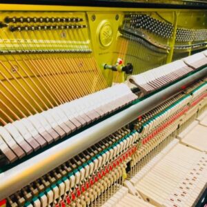 Nội thất và bộ máy đàn Yamaha U2F