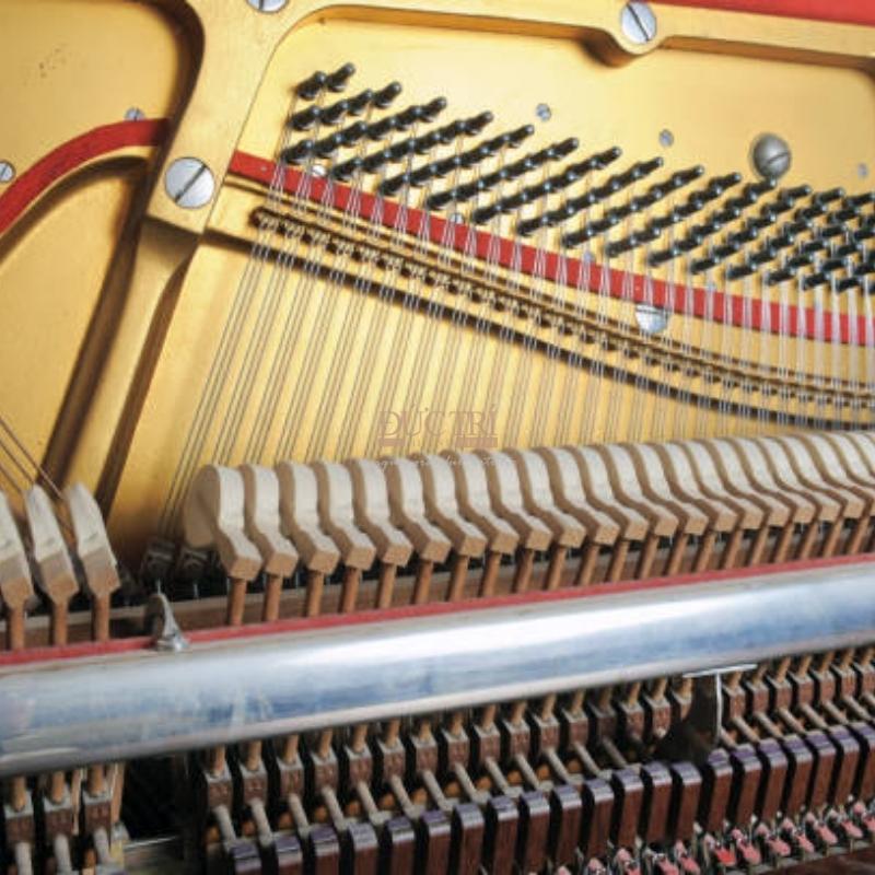 Nội thất và bộ máy đàn Yamaha Wx1AWnC