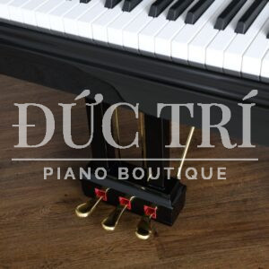Pedal đàn Piano Grand Hailun HG 161