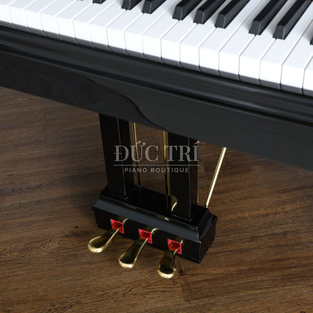 Pedal Piano Grand Hailun HG 161 Hailun HG 161 Pedal đàn Piano Grand Hailun HG 161