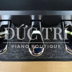 Pedal piano điện Kawai CA4900GP