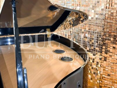 Phần loa đàn piano Roland GP609