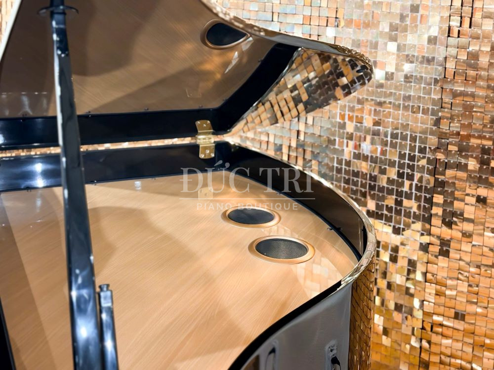 Phần loa đàn piano Roland GP609