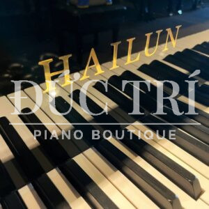 Phím đàn Piano Grand Hailun HG 161