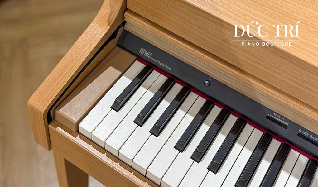 Phím đàn Roland HP-603