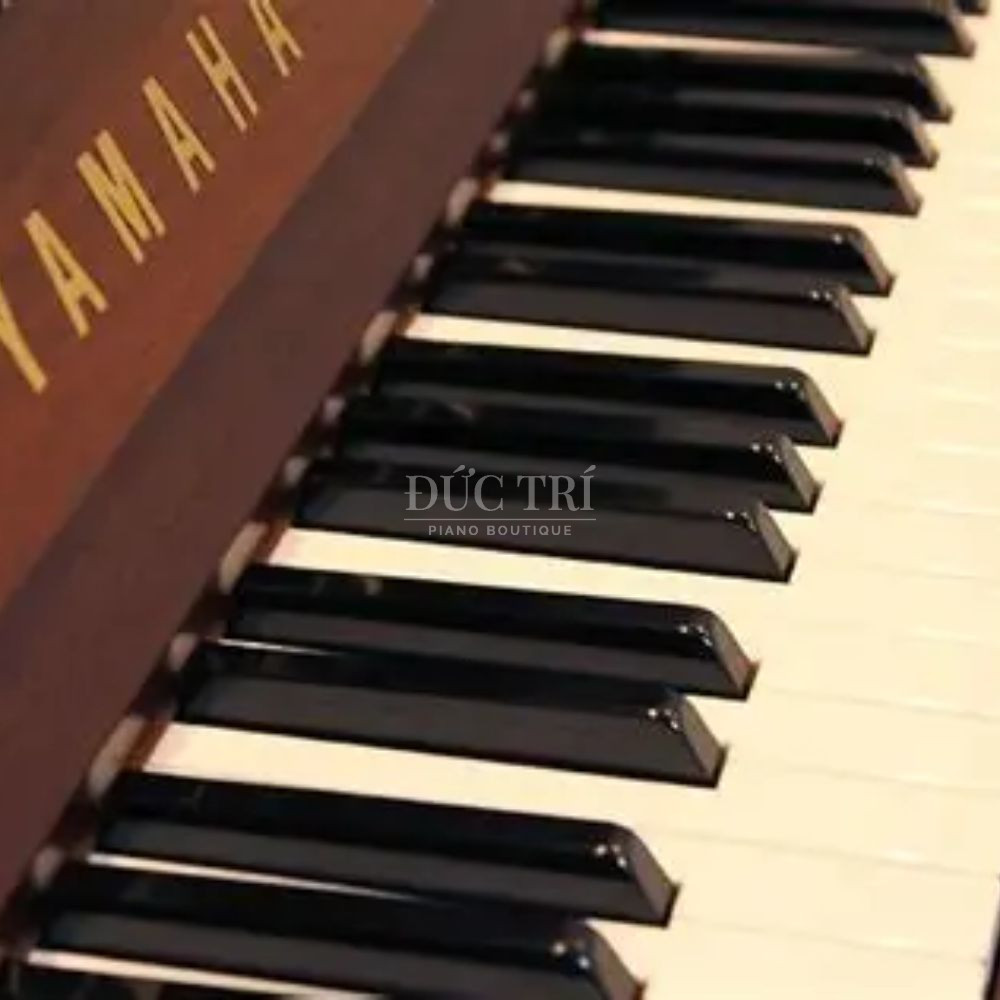 Phim dan Yamaha YM11Wn Yamaha YM11Wn Phim dan Yamaha YM11Wn Yamaha YM11Wn